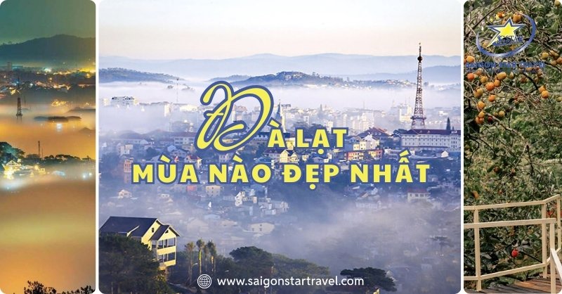Đi Đà Lạt Mùa Nào Đẹp Nhất? Chi Tiết Các Mùa Nên Đi Du Lịch