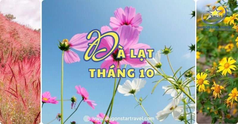 Đà Lạt Tháng 10 Gây Thương Nhớ, Như “Người Tình Thứ 2”