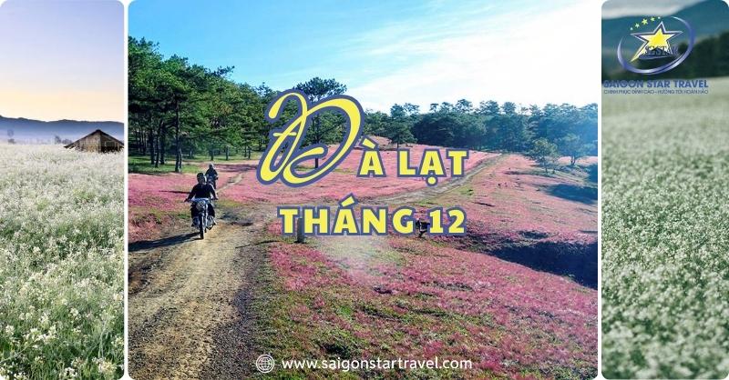 Đà Lạt Tháng 12 – Đến Và Trải Nghiệm Mùa Cuối Năm