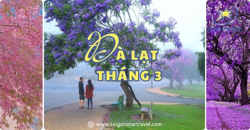 Đà Lạt Tháng 3 Có Gì Chơi Và Những Điều Hấp Dẫn?