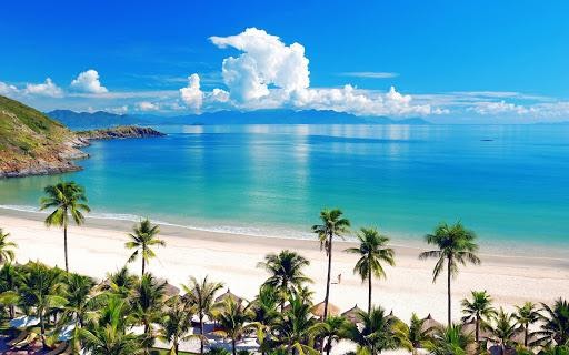 Lựa chọn du lịch Tết Nha Trang nên hay không nên?