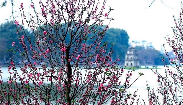 Có nên đi du lịch vào dịp Tết Nguyên Đán hay ở nhà đón Tết cùng gia đình?