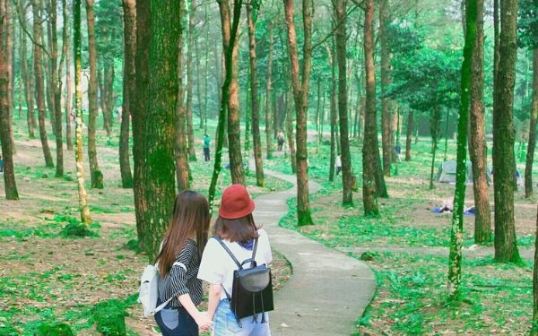 Kinh nghiệm du lịch vườn Quốc gia Ba Vì 2023