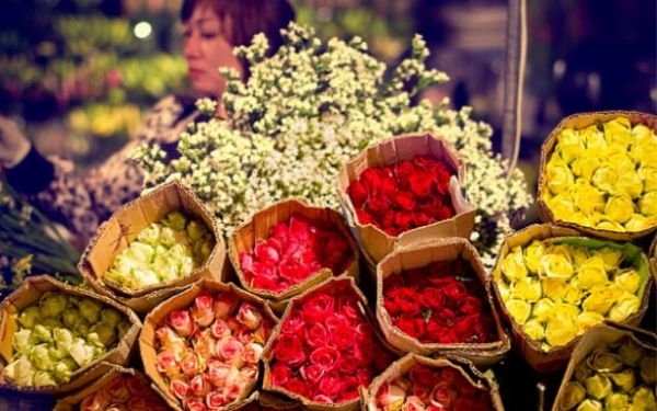 Kinh nghiệm mua hoa chợ hồ Thị kỷ