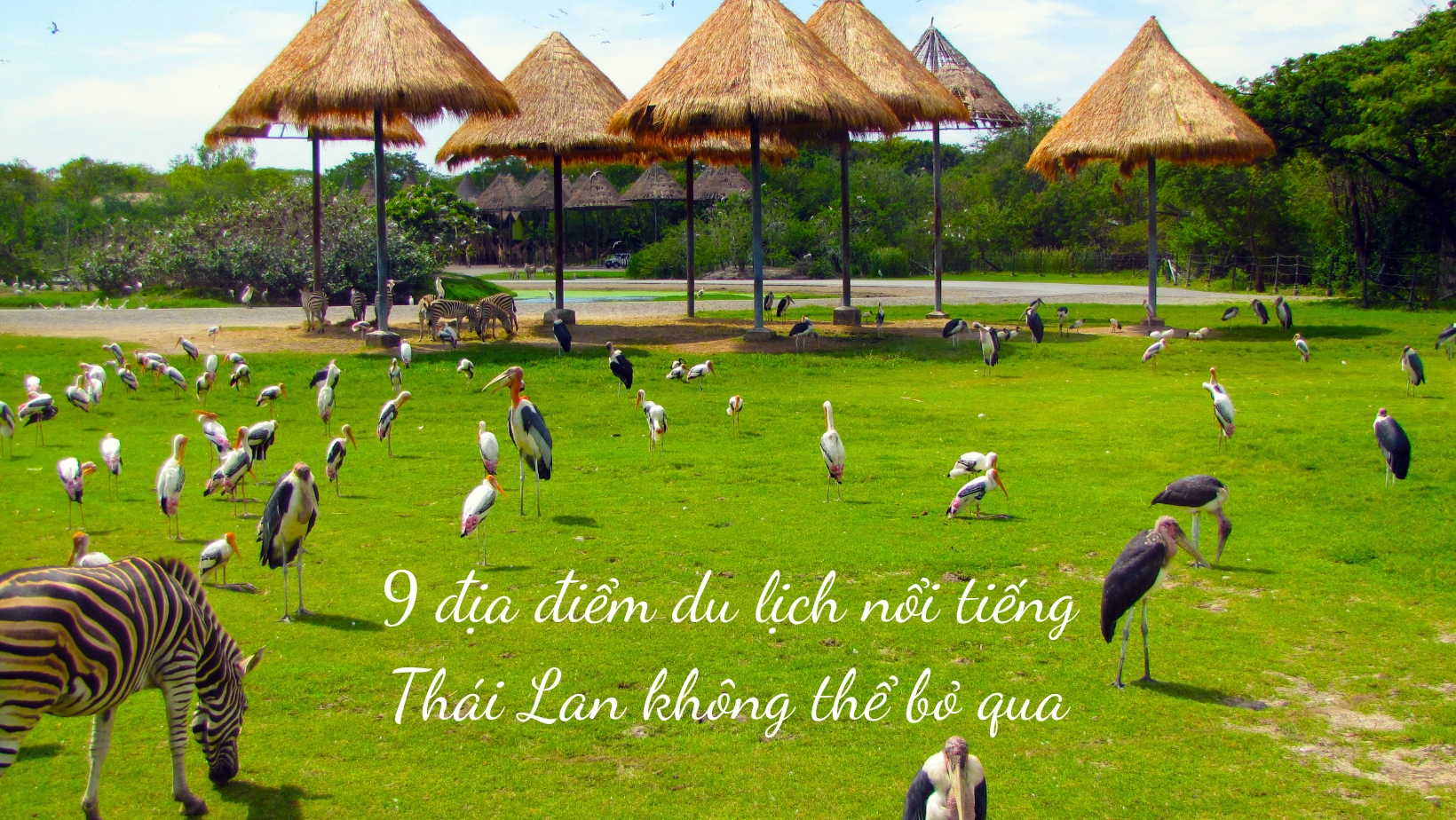 Top 15 địa điểm du lịch nổi tiếng Thái Lan đẹp ngỡ ngàng nên ghé thăm