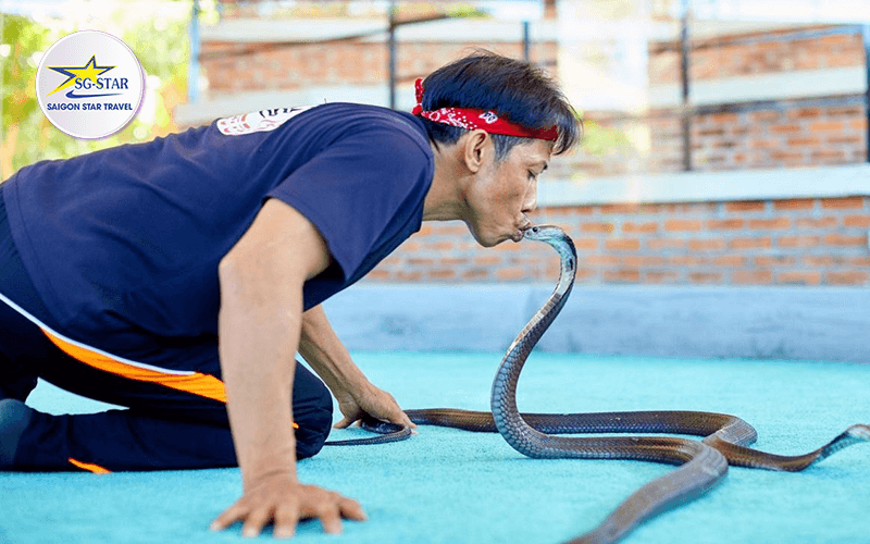 Nha Trang Snake Show địa điểm thú vị không thể bỏ qua
