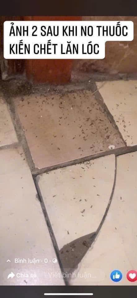 Sỉ 10 Lọ Thuốc Diệt Kiến Sinh Học Cơ Sở Bảo Lâm Thái Nguyên