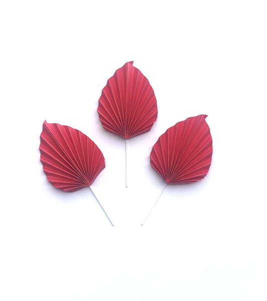 SET CẮM QUẠT LÁ ĐỎ