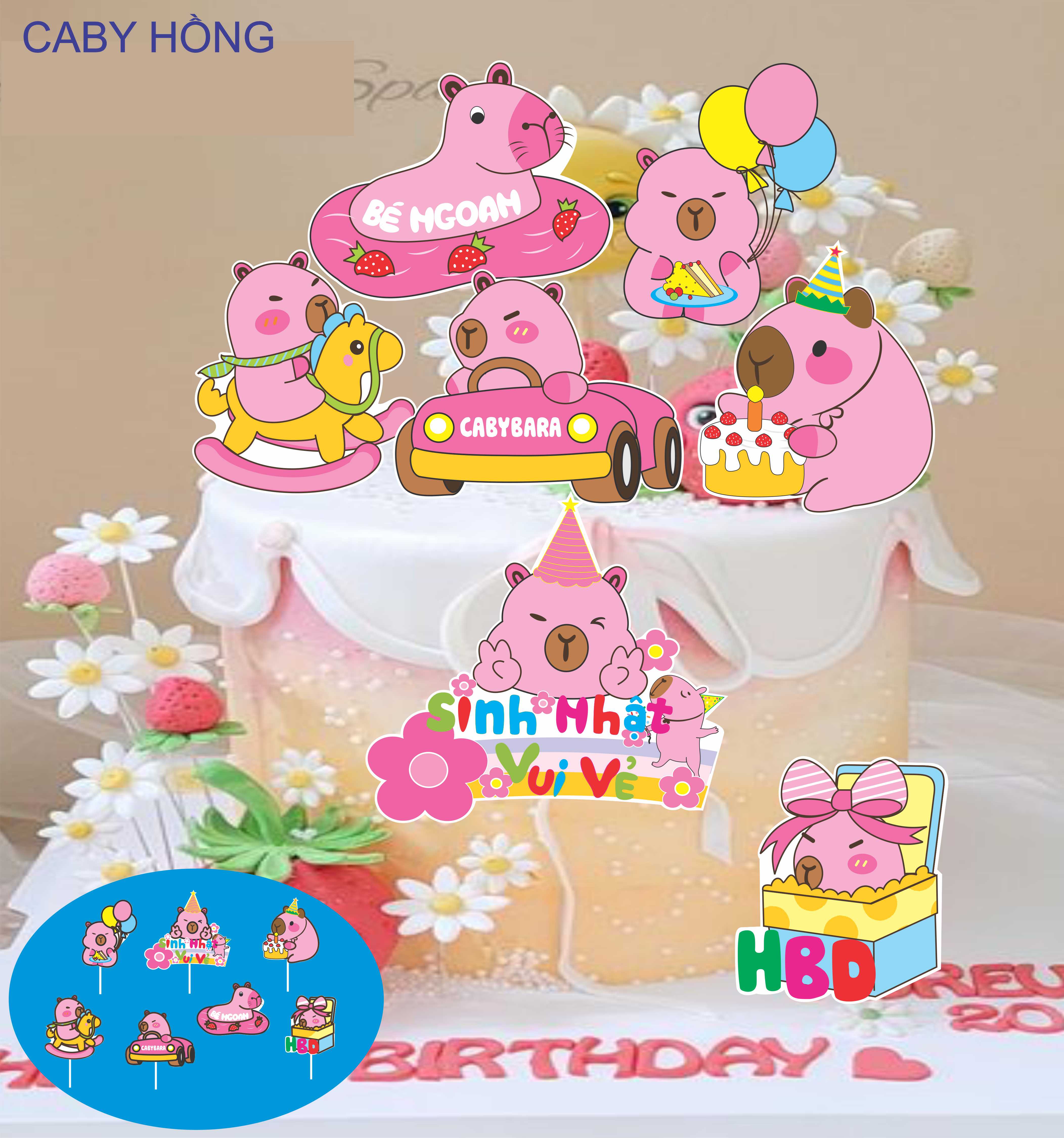 SET CẮM GIẤY CABY BARA HỒNG
