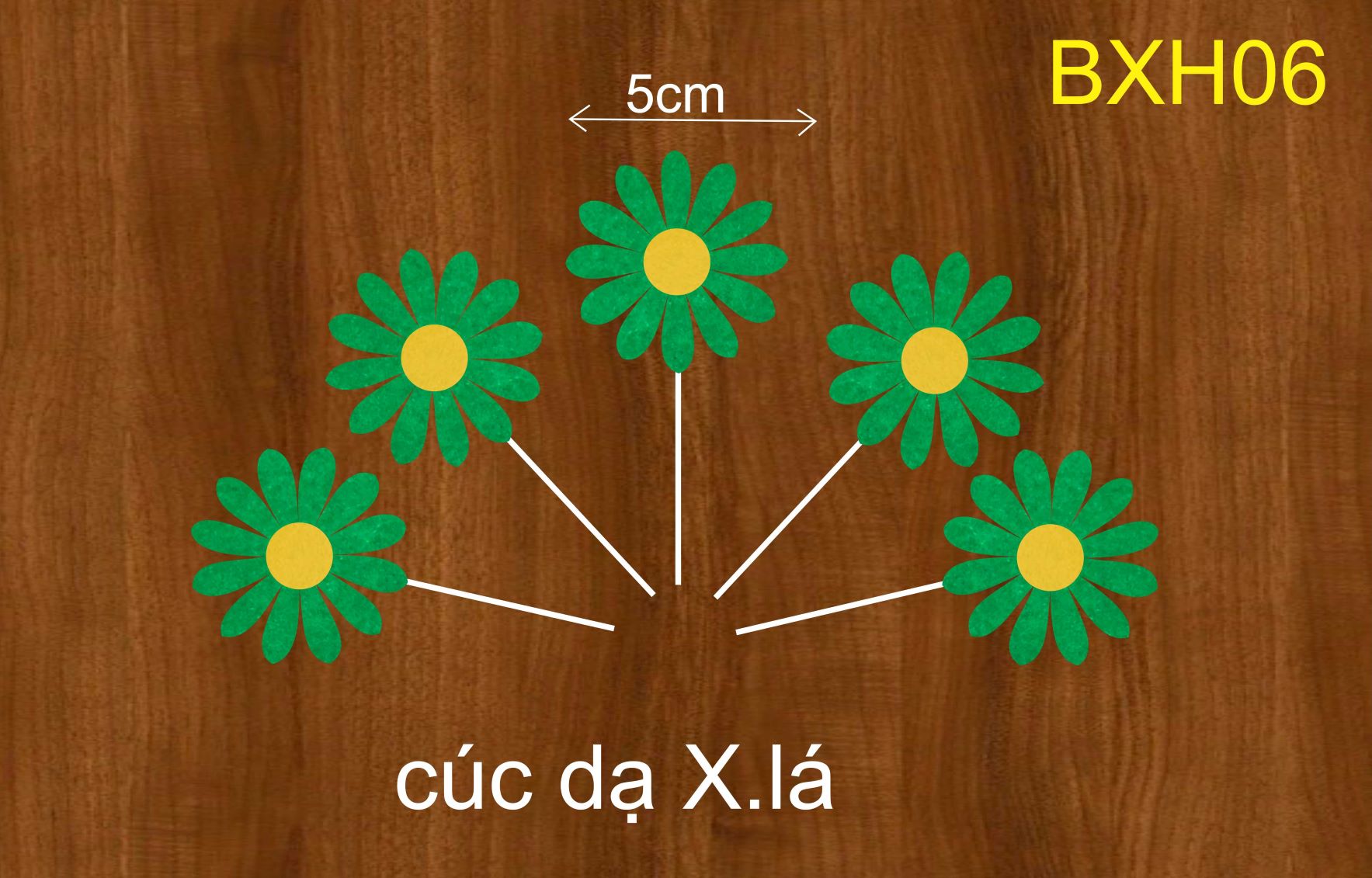 SET CẮM CÚC DẠ XANH LÁ