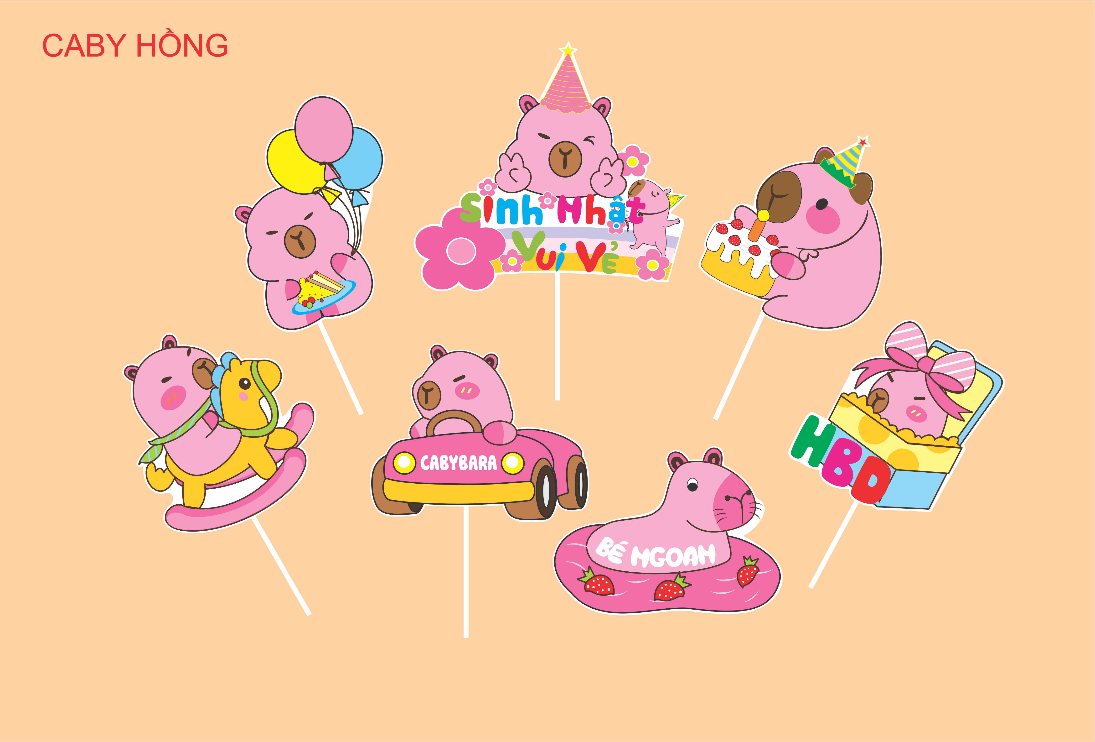 SET CẮM GIẤY CABY BARA HỒNG