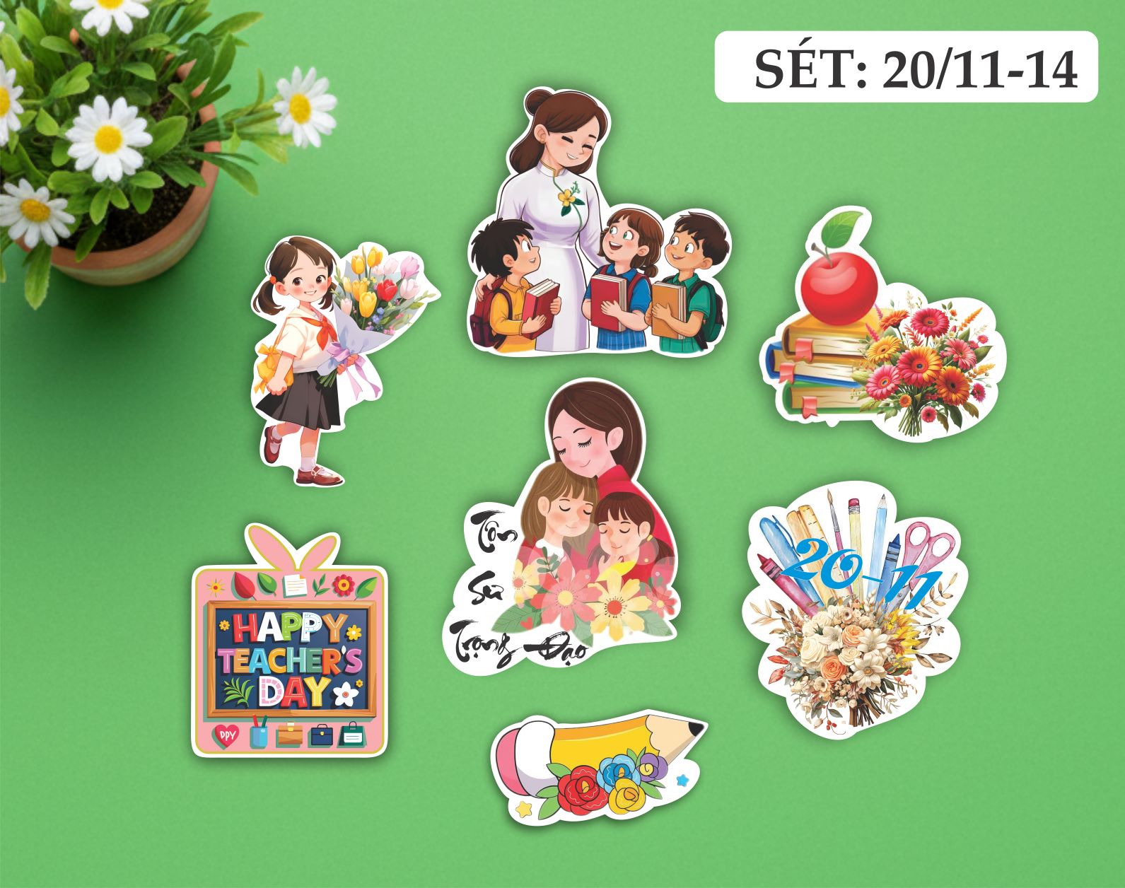 SET CẮM GIẤY 20/11-14