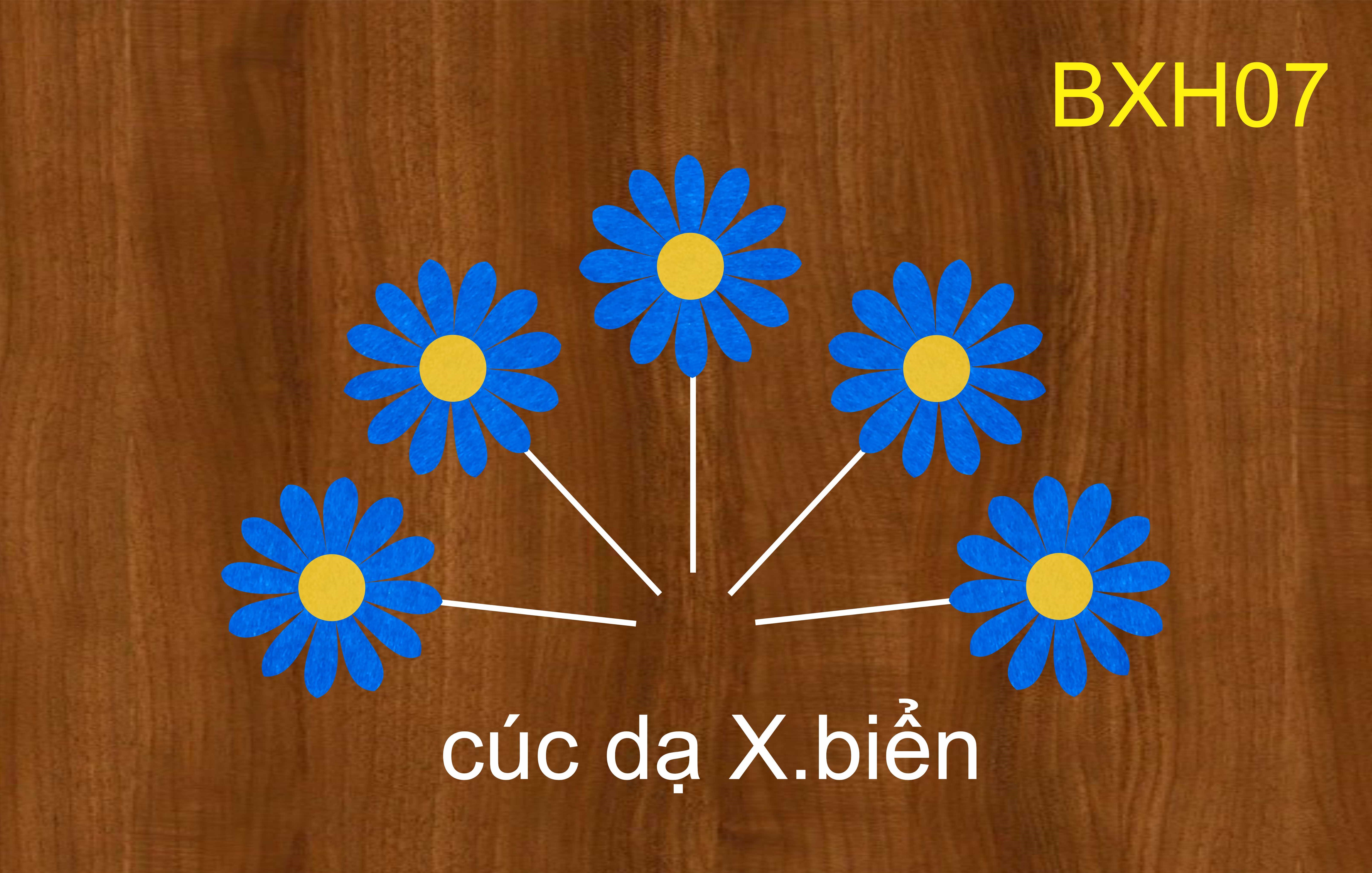 SET CẮM CÚC DẠ XANH ĐẬM