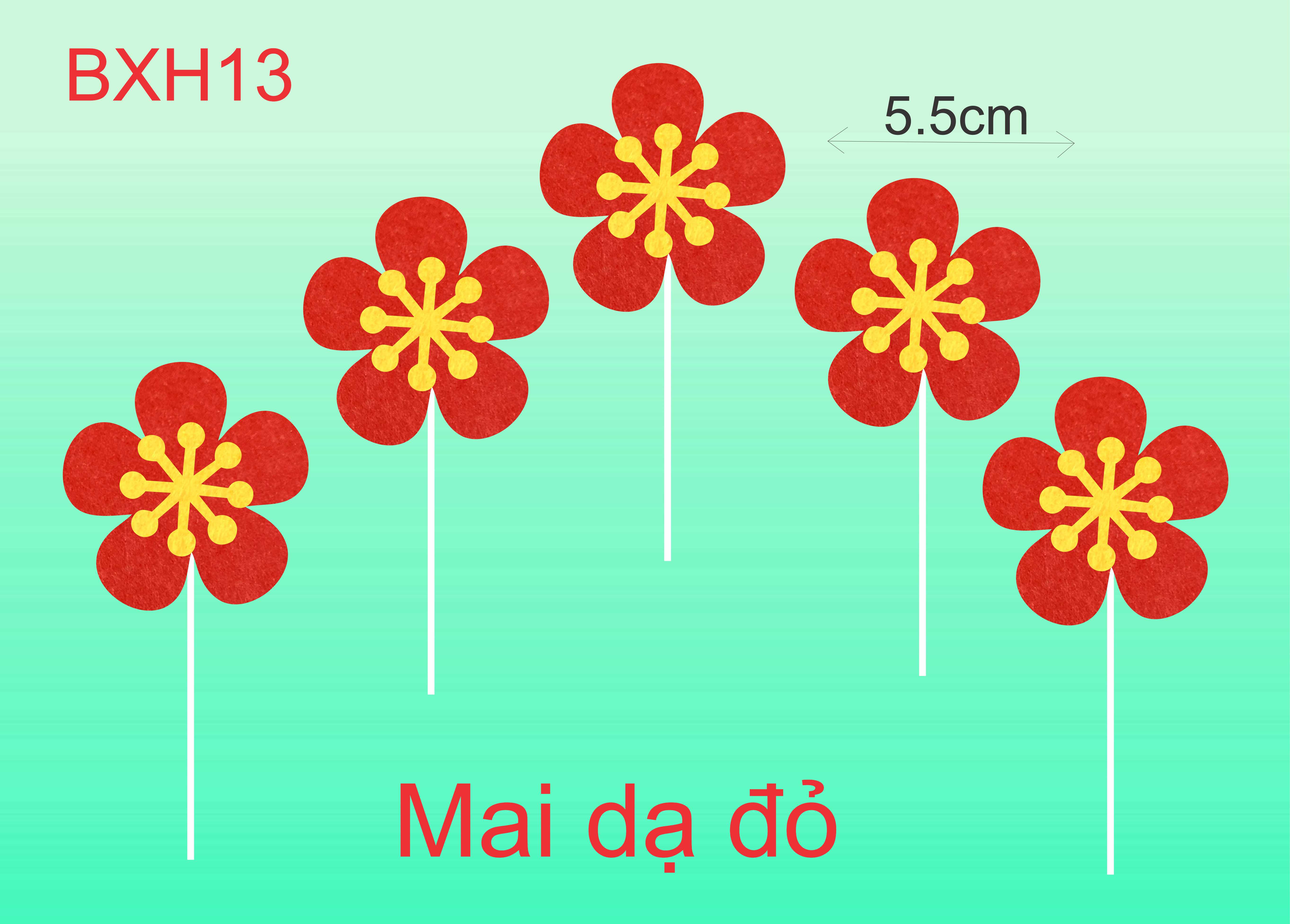 SET CẮM MAI DẠ ĐỎ