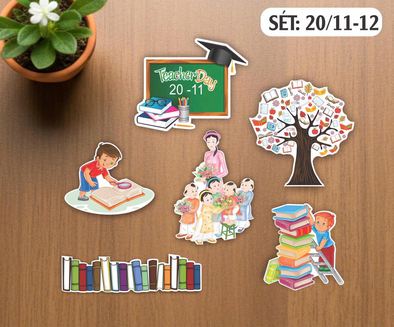 SET CĂM GIẤY 20-11 A3