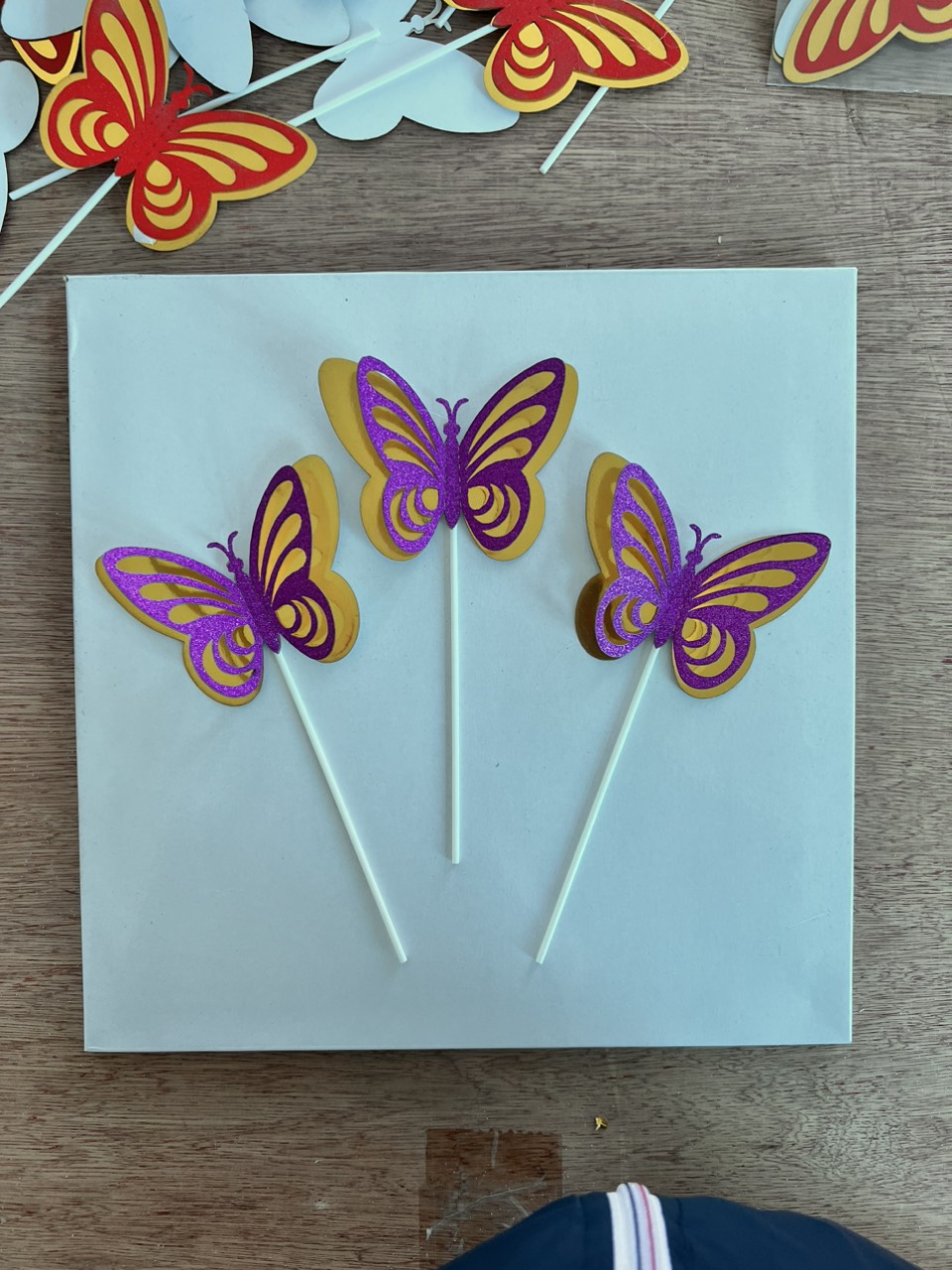 SET CẮM GIẤY BƯỚM 5
