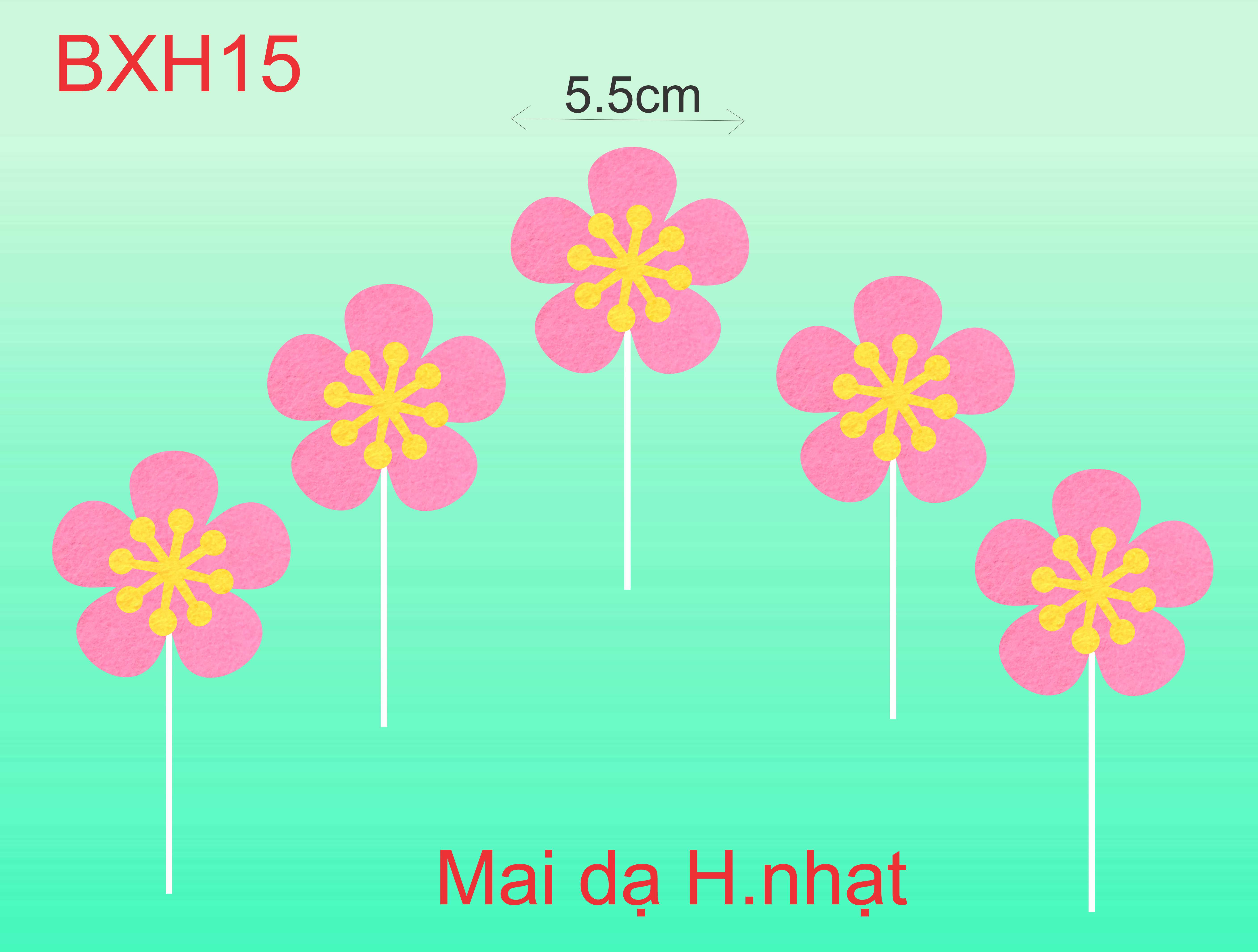 SET CẮM MAI DẠ HỒNG NHẠT