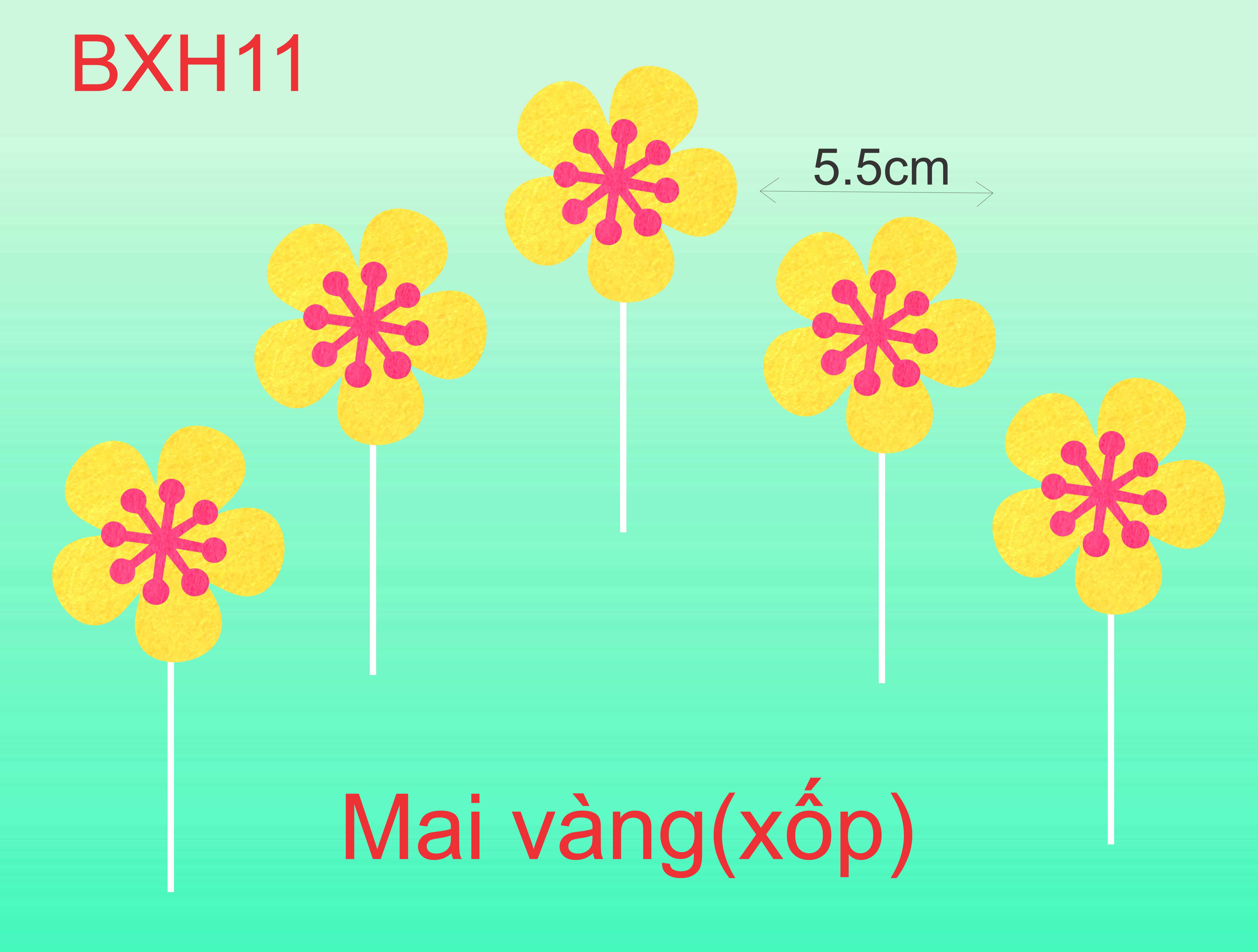 SET CẮM MAI DẠ VÀNG