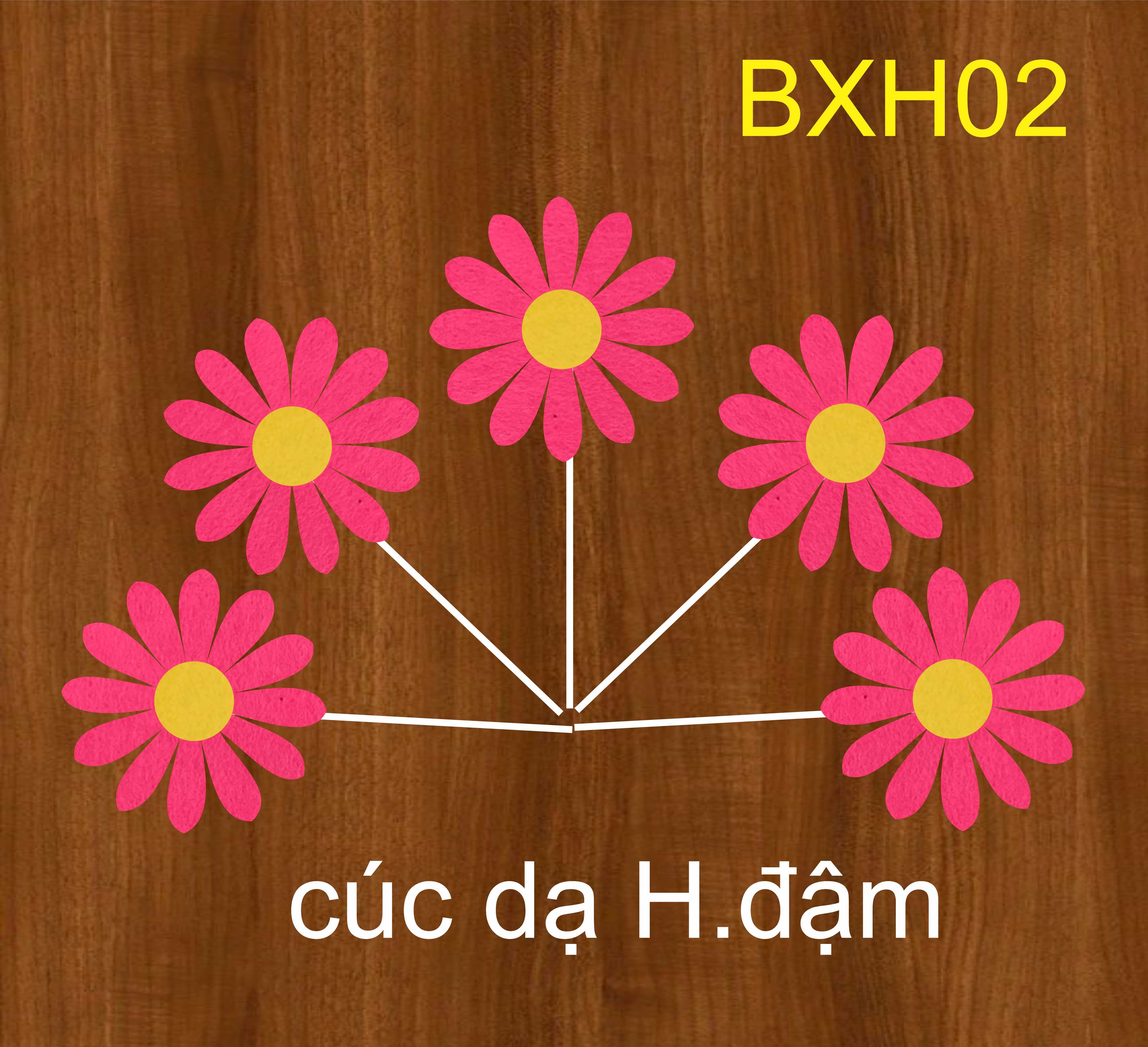 SET CẮM CÚC DẠ HỒNG ĐẬM