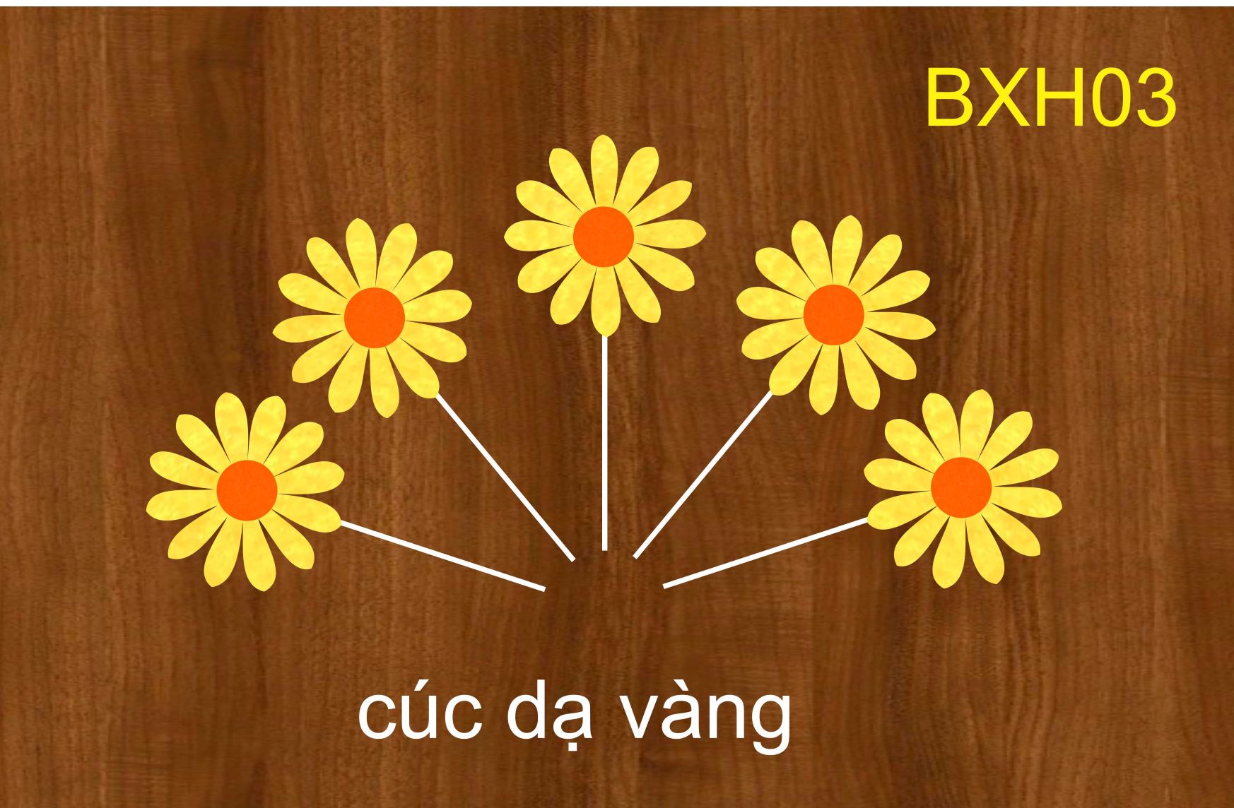 SET CẮM CÚC DẠ VÀNG