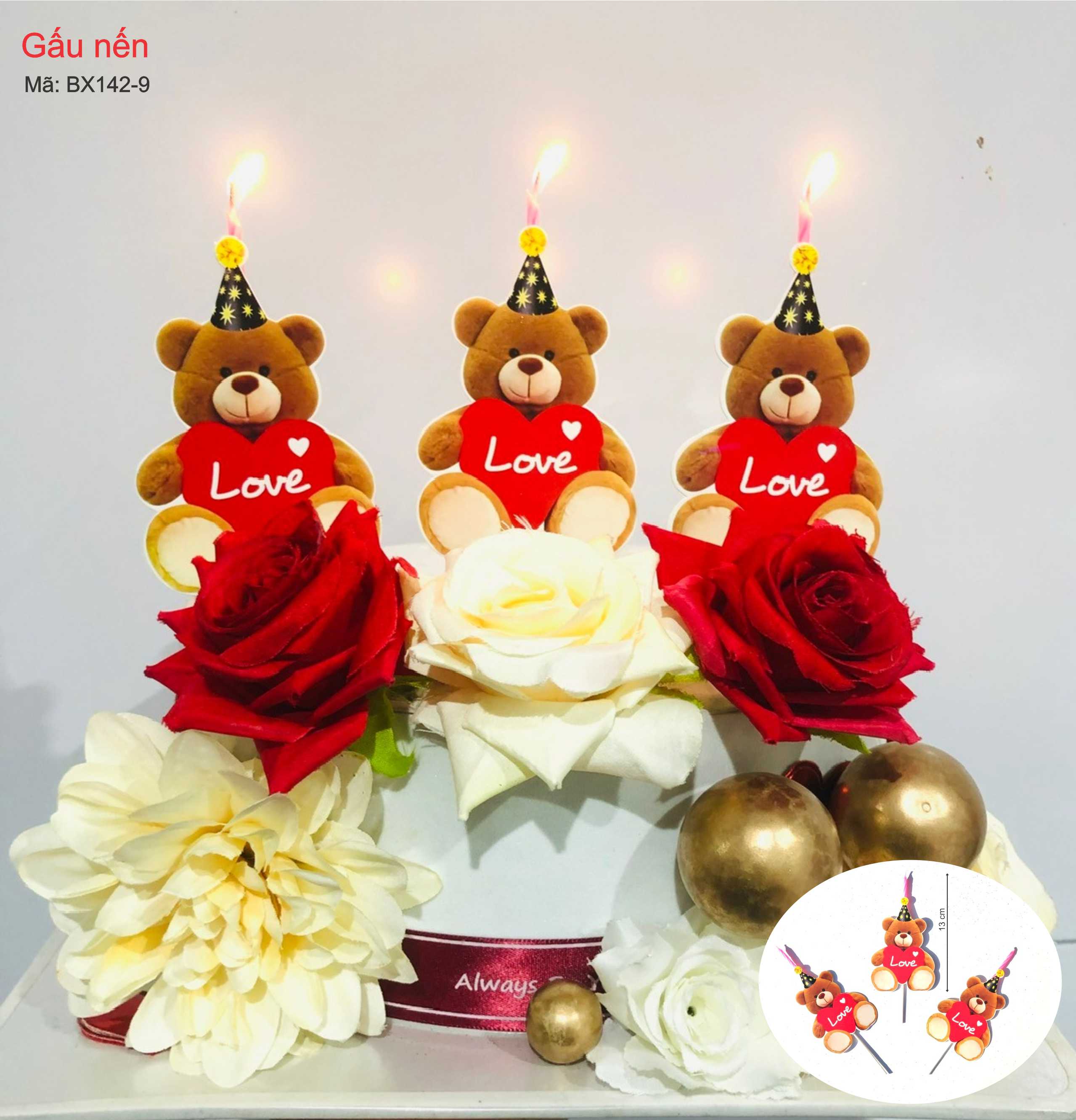 SET GẤU NẾN