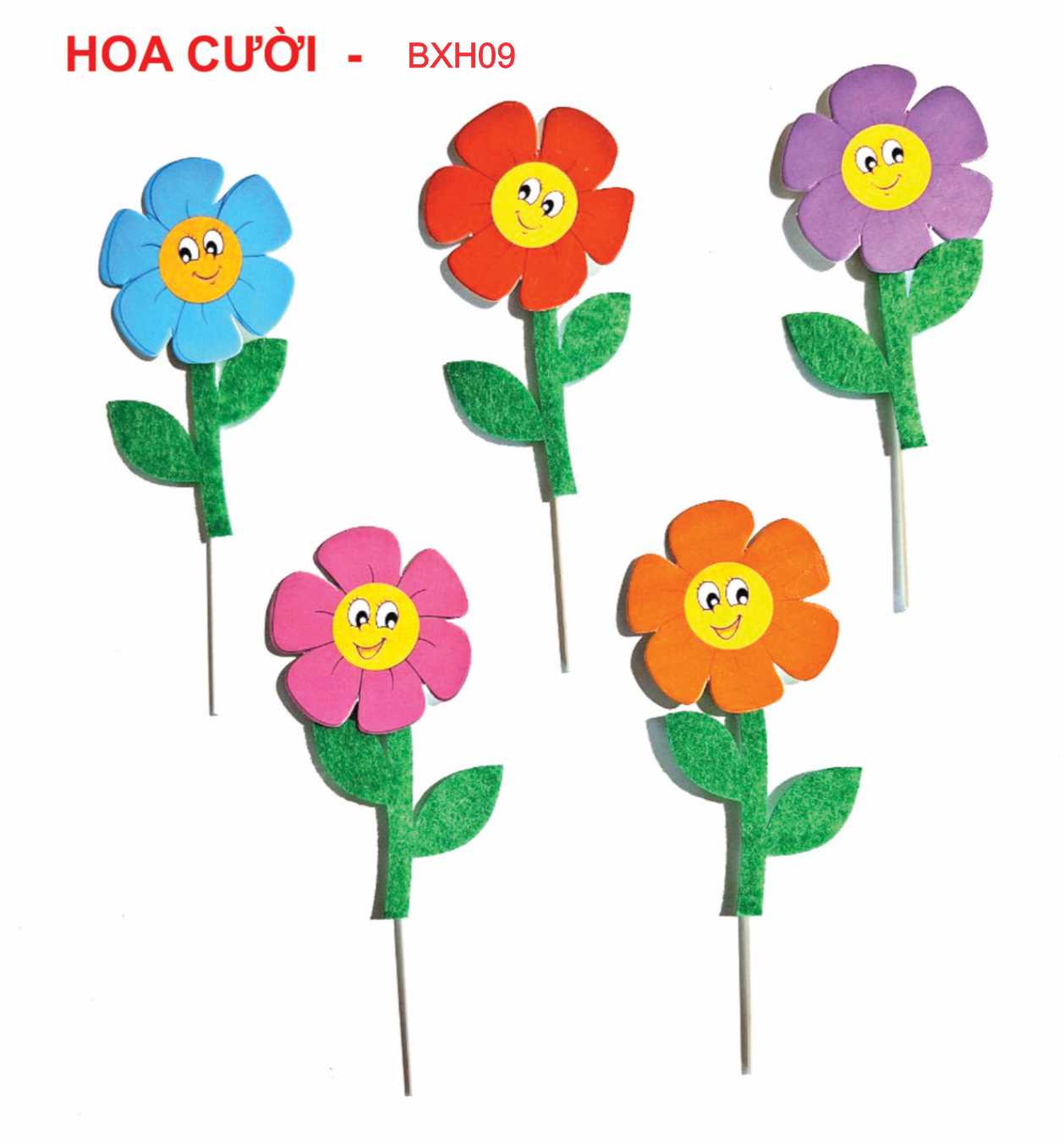 SET CẮM HOA CƯỜI
