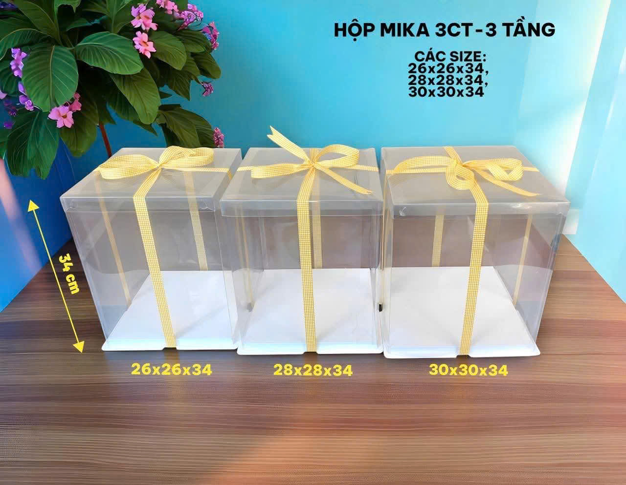 Hộp Mica 3ct Size 26x34cm