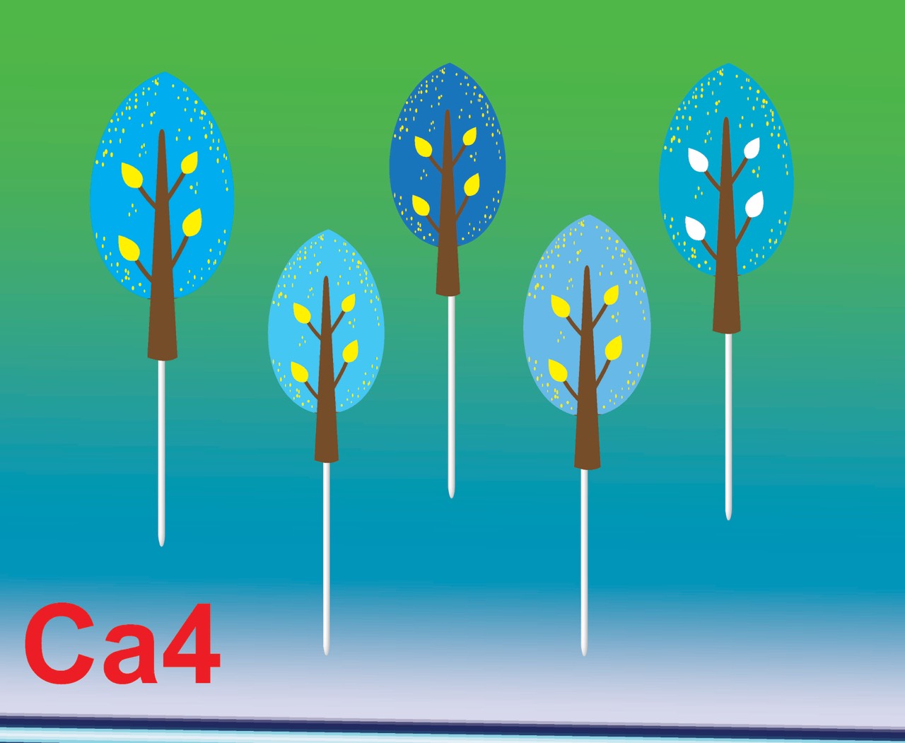 SET CẮM GIẤY CÂY 4A
