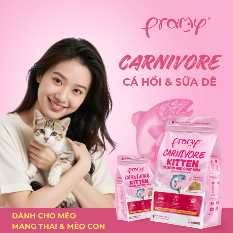 Hạt Cho Mèo Con Giàu Đạm PRAMY CARNIVORE Kitten Vị Cá Hồi & Sữa Dê Cho Mèo Con & Mèo Mẹ 800g