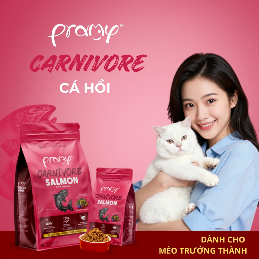 Hạt Cho Mèo PRAMY CARNIVORE Vị Cá Hồi 1kg