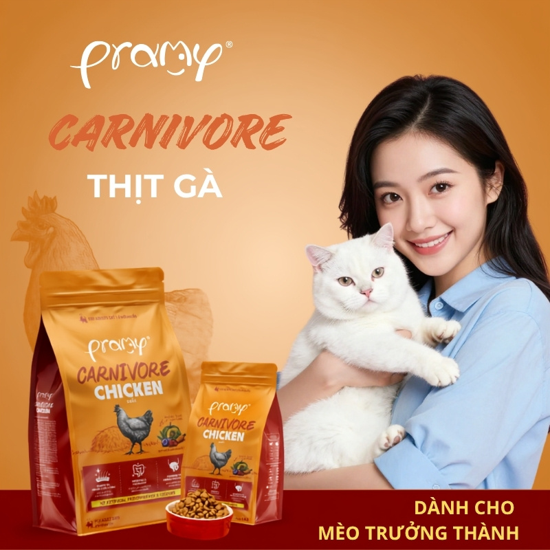 Hạt Cho Mèo PRAMY CARNIVORE Vị Gà 1kg