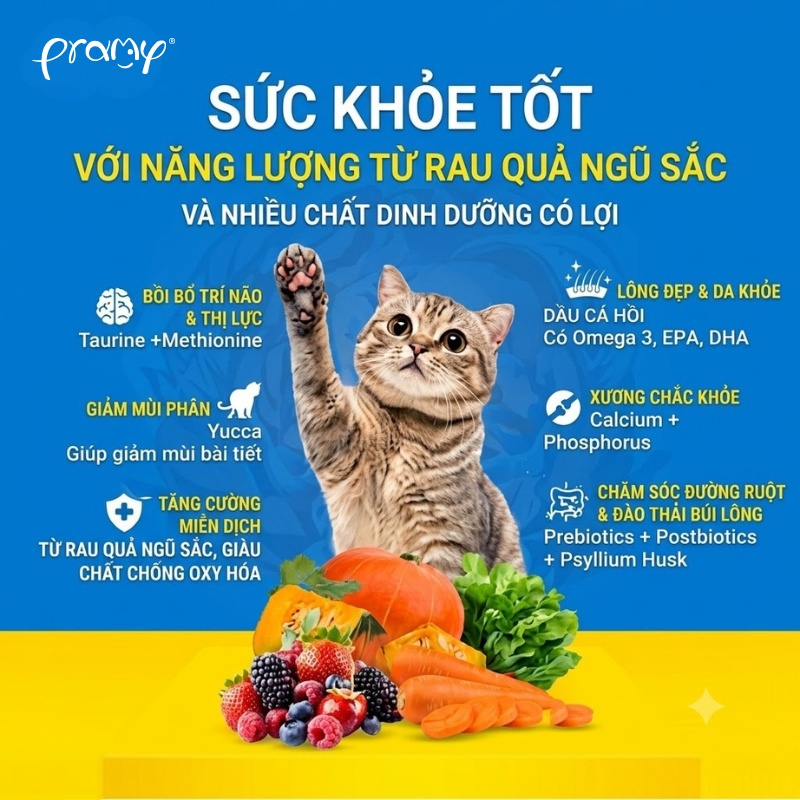 Hạt Cho Mèo Con Giàu Đạm PRAMY CARNIVORE Kitten Vị Cá Hồi & Sữa Dê Cho Mèo Con & Mèo Mẹ 800g