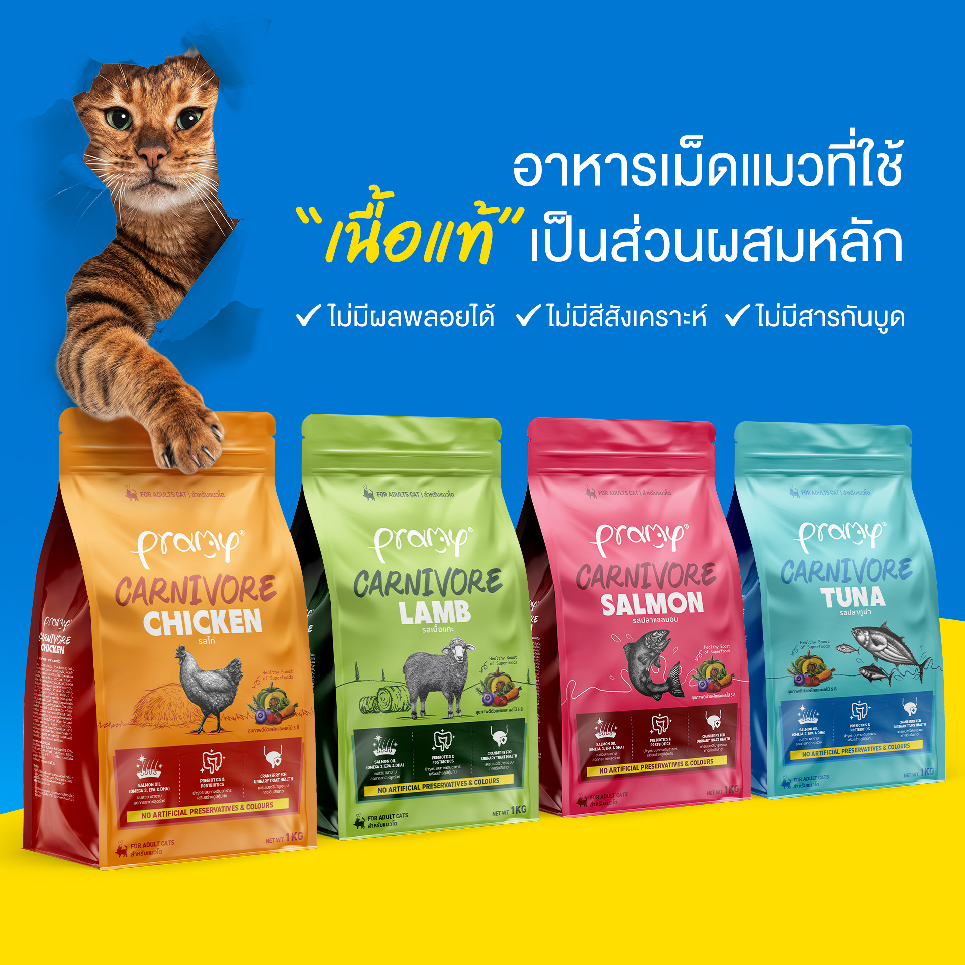 Hạt cho mèo giàu đạm PRAMY CARNIVORE Vị Gà 7kg