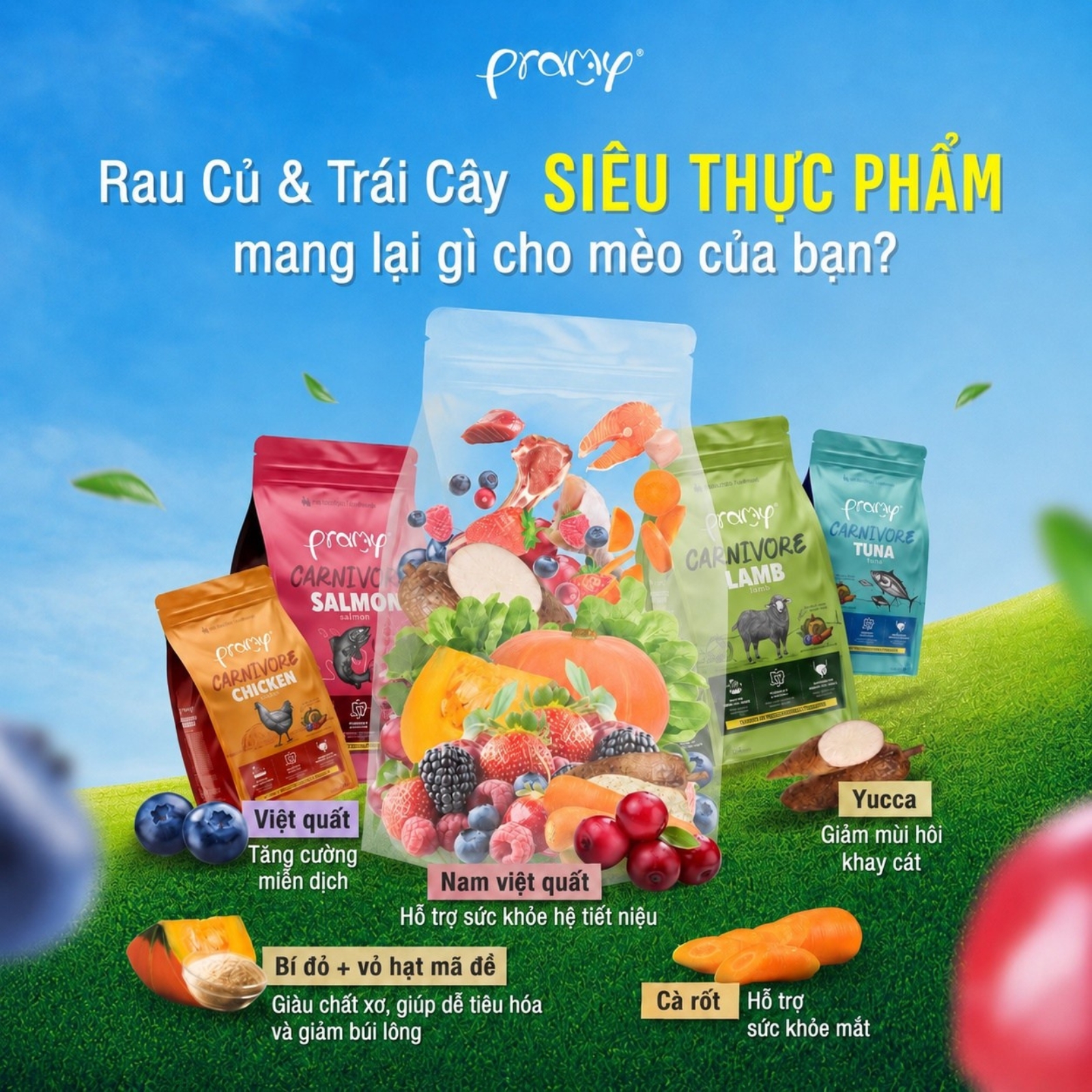 Hạt cho mèo giàu đạm PRAMY CARNIVORE Vị Cá Hồi 7kg