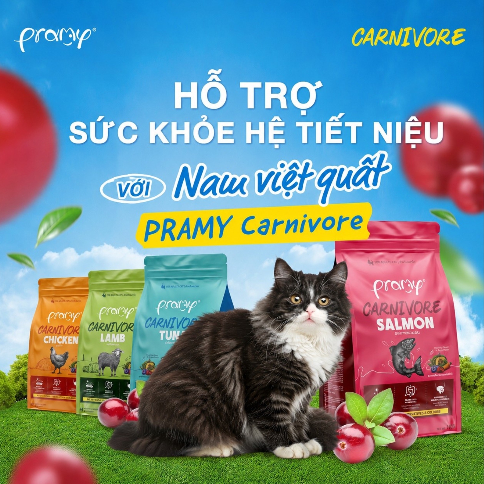 Hạt cho mèo giàu đạm PRAMY CARNIVORE Vị Cá Hồi 7kg