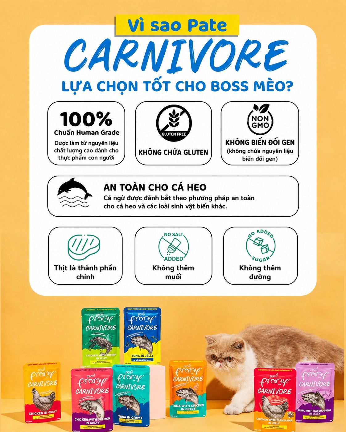 Pate Cho Mèo PRAMY CARNIVORE Vị Cá Ngừ Dạng Thạch Jelly 70g