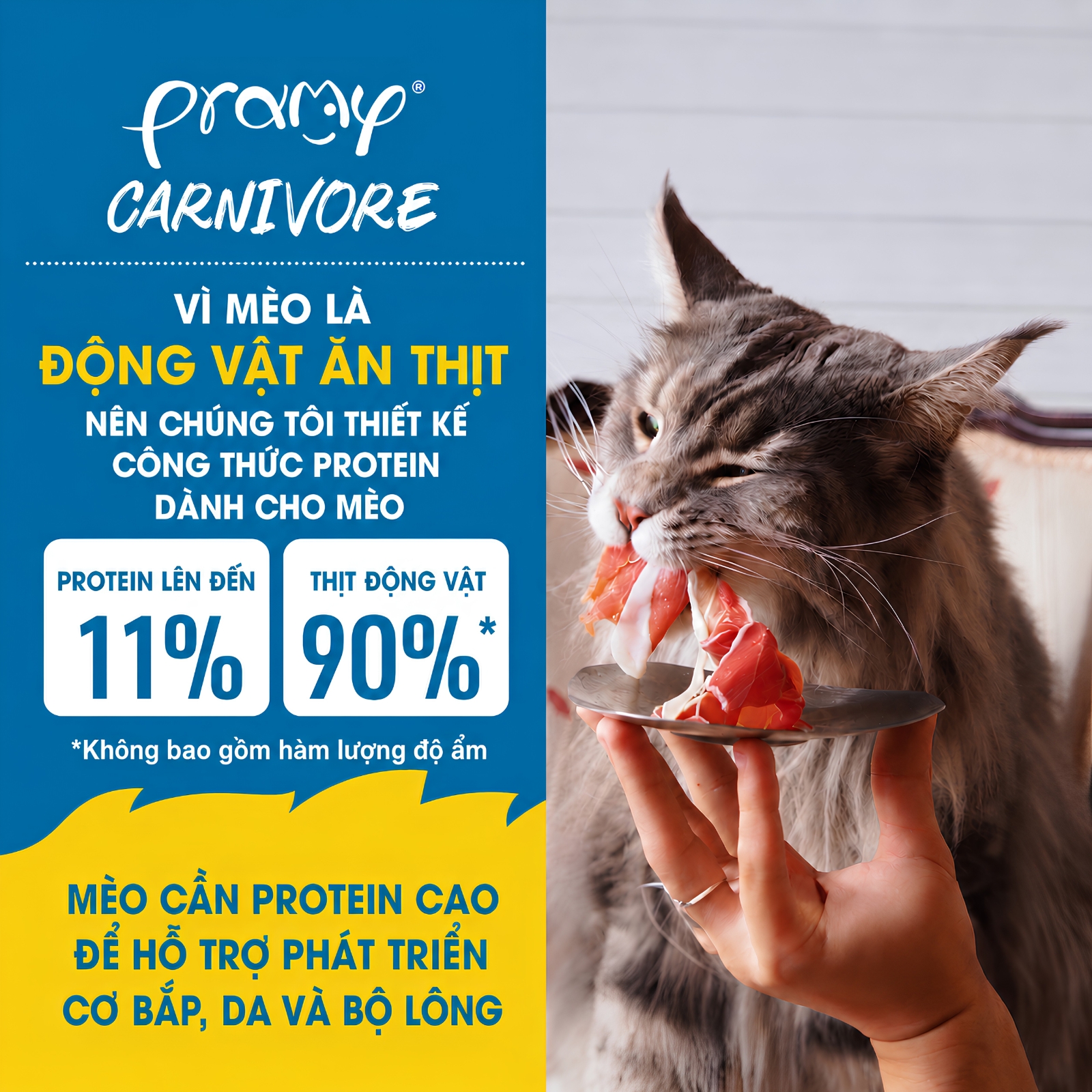 Pate Cho Mèo PRAMY CARNIVORE Vị Gà Topping Cá Hồi Dạng Sốt Gravy 70g