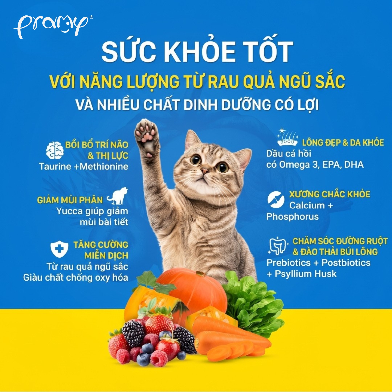 Hạt Cho Mèo PRAMY CARNIVORE Vị Cá Hồi 1kg