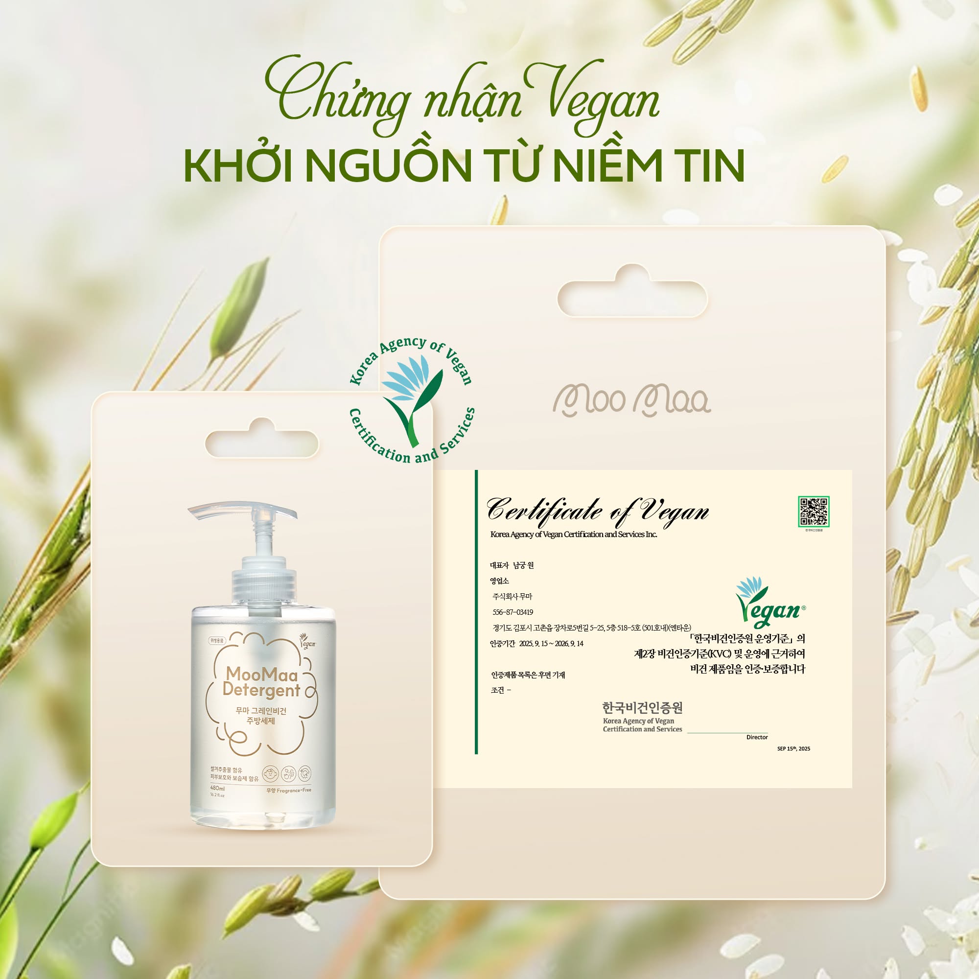 Vì sao Vegan lại quan trọng? Xu hướng sử dụng sản phẩm thuần chay của hội mẹ bỉm hiện đại