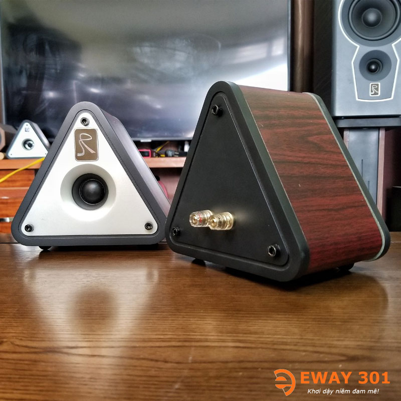 Cặp Loa Treble Pioneer P03 Tích Hợp Vỏ Gỗ Tam Giác