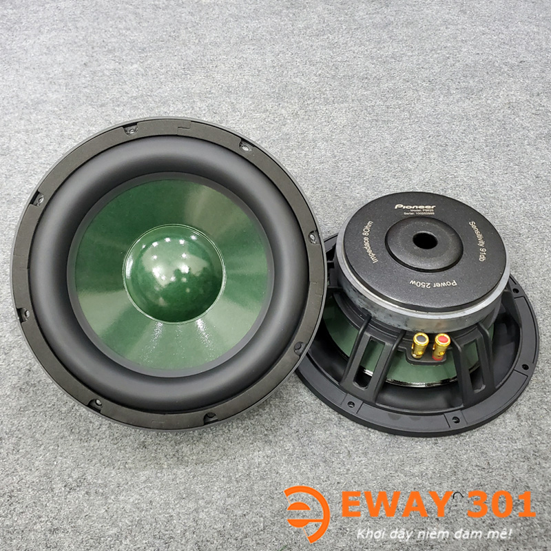 Cặp Loa Bass 25 P8825 Chính Hãng