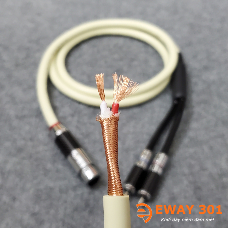 Dây Jack Canon Cái ra 2 AV/RCA WBT 888 - Dây Tín Hiệu Dùng Cho Loa SUB Điện