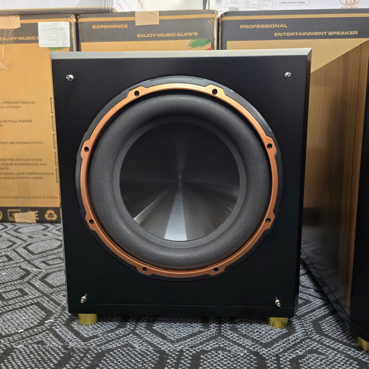 Mẫu Loa Sub Âm Trầm SUB-12TD+ - TD Acoustic