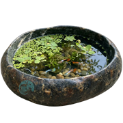 Đá Tự Nhiên