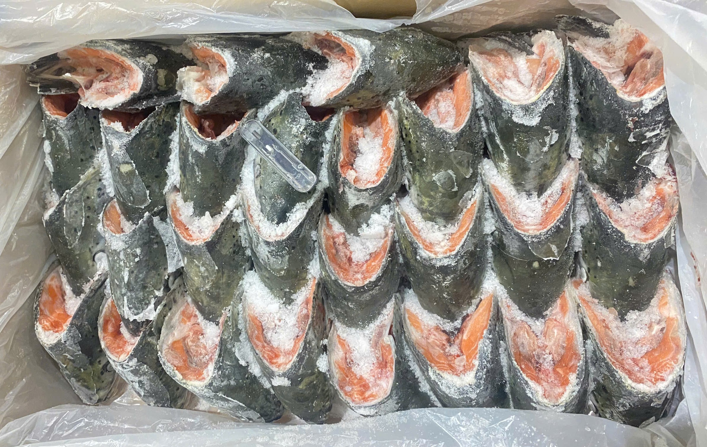 Đầu cá hồi Milarex 400g+ (12kg / thùng)