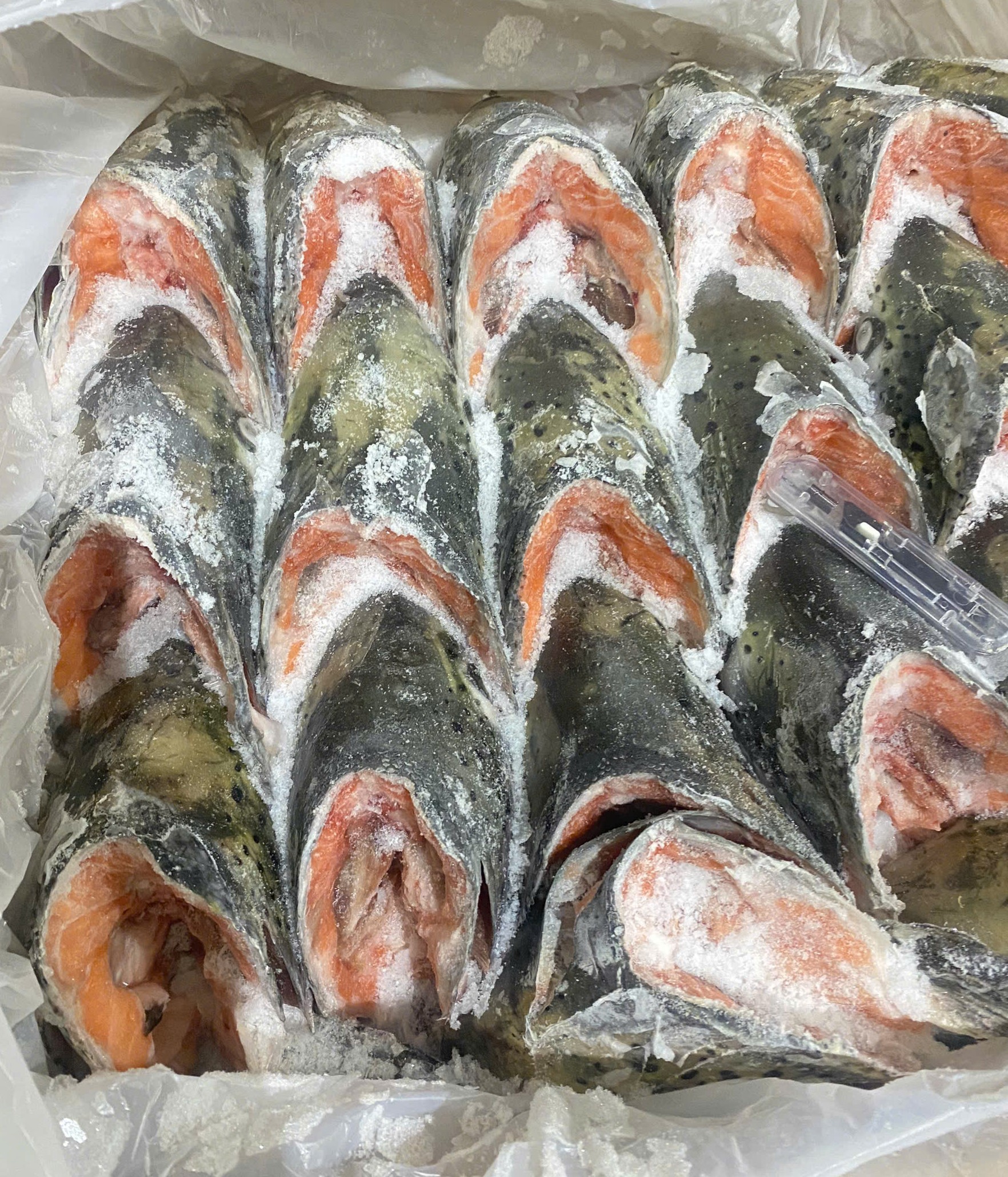 Đầu cá hồi Milarex 400g+ (12kg / thùng)
