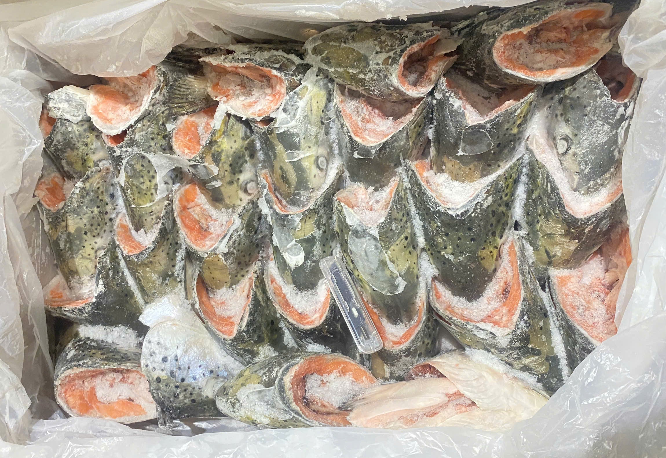 Đầu cá hồi Milarex 400g+ (12kg / thùng)
