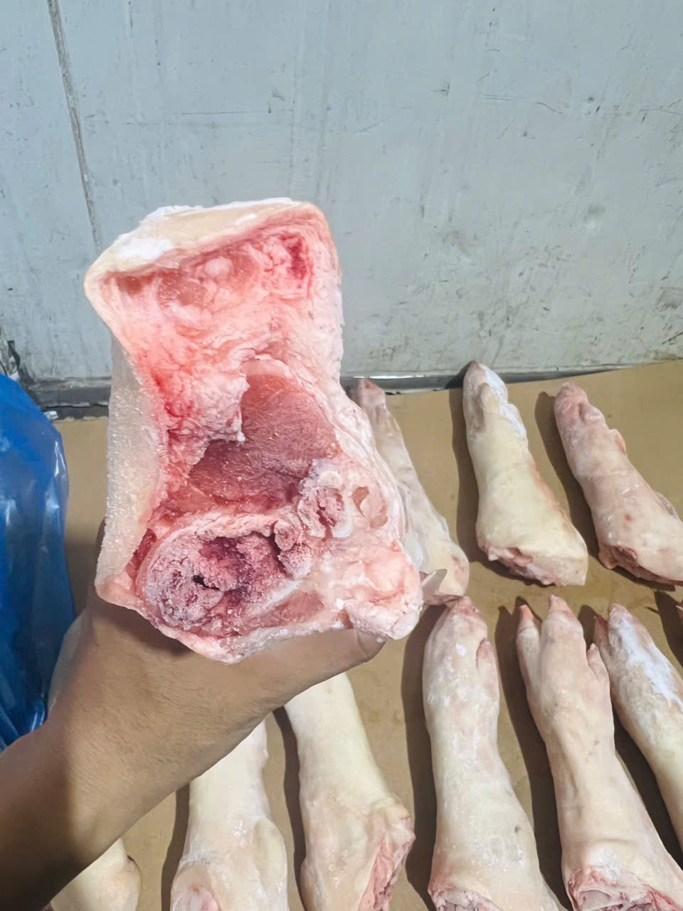 Dựng heo sau (10kg / Thùng)