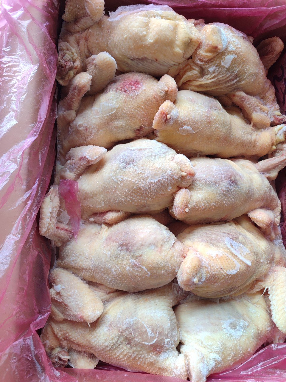 Gà nguyên con Singreen LM10 (Kg) - Bán nguyên thùng