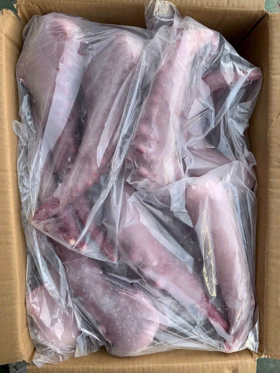Râu mực 3/5 (1kg / Gói) - Net 5